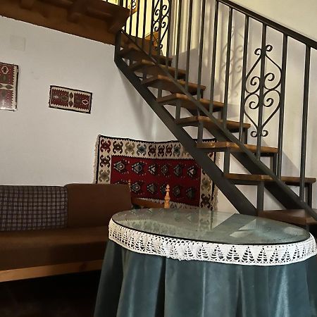 Tia Clotilde Es Una Casa Grande Ideal Para Famili Cabezas Bajas Exterior photo